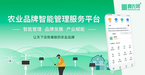 從韓國高麗參到中國物聯(lián)網(wǎng)農(nóng)業(yè) 一場關(guān)于價值重塑的產(chǎn)業(yè)解析